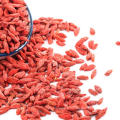 Baies rouges de goji bio